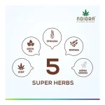 Noigra Hemp Protein Powder - Image 17