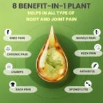cannarma massasge_oil - Indian Hempstore - Main