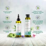 Hampa Hemp Amla Hair Oil 100ml + Hampa Hemp Lush Hair Shampoo 200ml | Deep Nourishment & Hair Fall Control - Image 2