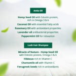 Hampa Hemp Amla Hair Oil 100ml + Hampa Hemp Lush Hair Shampoo 200ml | Deep Nourishment & Hair Fall Control - Image 7
