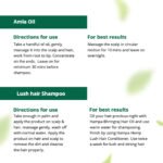 Hampa Hemp Amla Hair Oil 100ml + Hampa Hemp Lush Hair Shampoo 200ml | Deep Nourishment & Hair Fall Control - Image 6