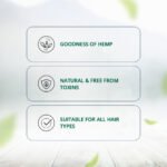 Hampa Hemp Amla Hair Oil 100ml + Hampa Hemp Lush Hair Shampoo 200ml | Deep Nourishment & Hair Fall Control - Image 3