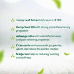 Hampa Hemp Muscle Pain Relief Oil | Pack of 1 - 100ml " - Image 6