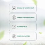 Hampa Hemp Muscle Pain Relief Oil | Pack of 1 - 100ml " - Image 3