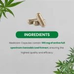 Cannabis Leaf Extract Capsule - 100mg