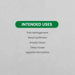 Medicann Cannabis Leaf Extract - cbd store - indian hempstore