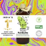 Ekkomoh Hemp and Ashwagandha Kombucha