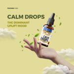 Cannazo India Calm Drops | CBD Dominant | Morning Bless in Neurological Care