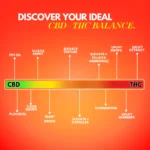 cannazo-india_full_pectrum_capsules_elevate_capsules_indian_hempstore_1