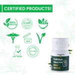 Certified-Cannarma-Traillokya-Vijaya-Vati-Indian-Hempstore