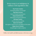 India Hemp Organics - Hemp Vanila Protein - Indian Hempstore -