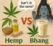 Hemp VS Bhang