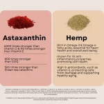 Cannazo India AstaZen Softgels – Continuity Hemp Seed Oil + Astaxanthin | Advanced Antioxidant & Omega Supplement - Image 4