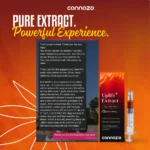 Cannazo India Uplift Plus - Indian Hempstore - pure extract