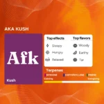 Cannazo India Uplift Plus - Indian Hempstore - aka kush