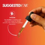 Cannazo India Elevate Recovery CBD + THC Oil | Full Spectrum Oral Drops - Image 7