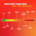 Cannazo India Elevate Recovery CBD + THC Oil | Full Spectrum Oral Drops - Image 3