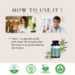 Cannazo India Gut Health Capsules – 500mg | Ayurvedic Remedy for Gas, Bloating & Digestion - Image 4