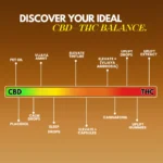cannazo-india_Trailokya-Vijaya-Vati_indian_hempstore_2