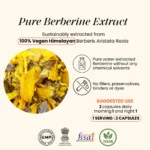 cannazo-india_lipomosal_berberine_indian_hempstore_berberine-extract.