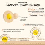 cannazo-india_lipomosal_berberine_indian_hempstore_nutrients