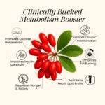 cannazo-india_lipomosal_berberine_indian_hempstore_who-is.