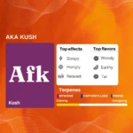 cannazo-india_uplift-plus-extract_indian_hempstore_aka-kush