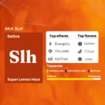 cannazo-india_uplift-plus-extract_indian_hempstore_aka-slh