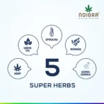 Noigra Hemp Protein Powder 3X Combo Pack - super herbs - indian hempstore