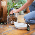 Cure-by-Design-Hemp-Seed-Oil-for-Pets-Indian-Hempstore-pet-food.